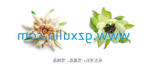 广州旭林精细化工有限公司